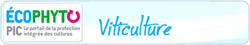 Plateforme Viticulture Plateforme Viticulture