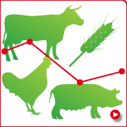 Logo cout de production des aliments destinés aux élevages bovins, porcins et volailles