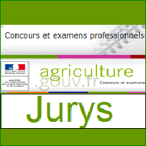 vertjurys vertjurys
