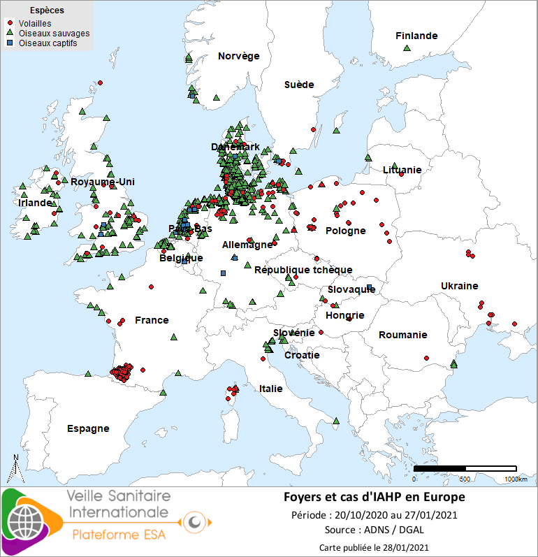Foyers et cas d’influenza aviaire hautement pathogène en Europe