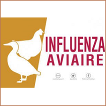 Logo Influenza aviaire