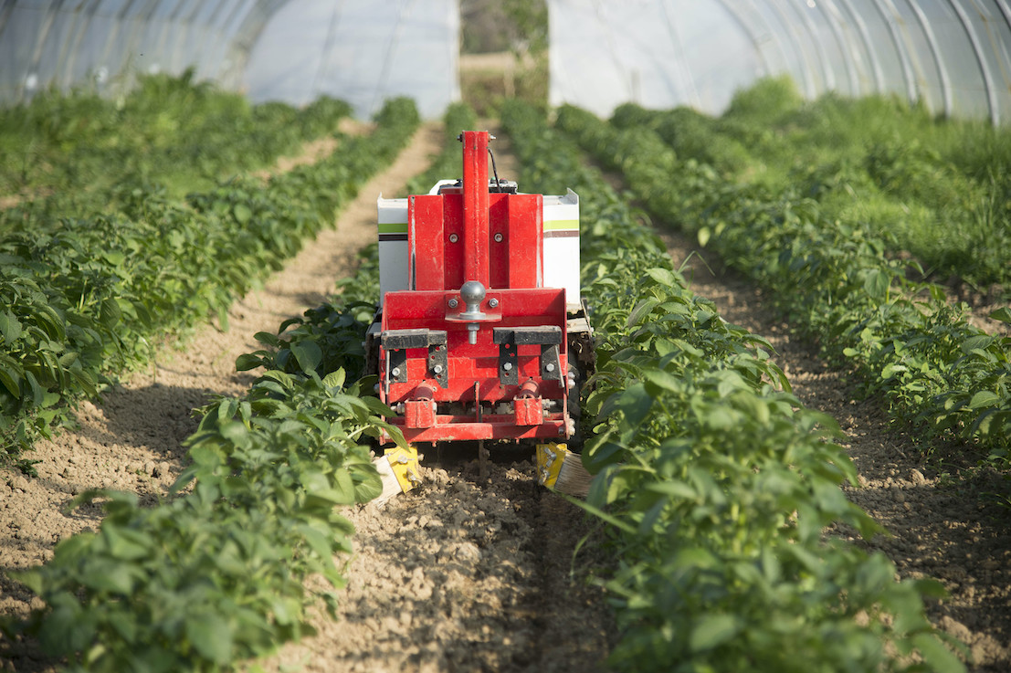 La Ferme Digitale, ferme de demain ?  Ministère de l'Agriculture et de