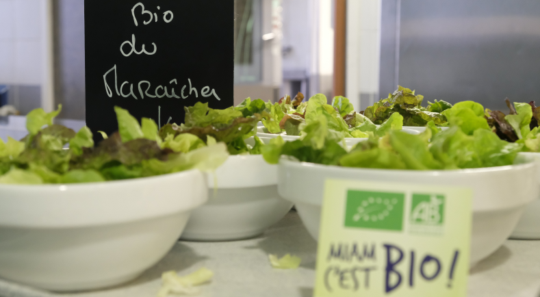 Le Charolais Aop Un Fromage De Chèvre Généreux Ministère De L