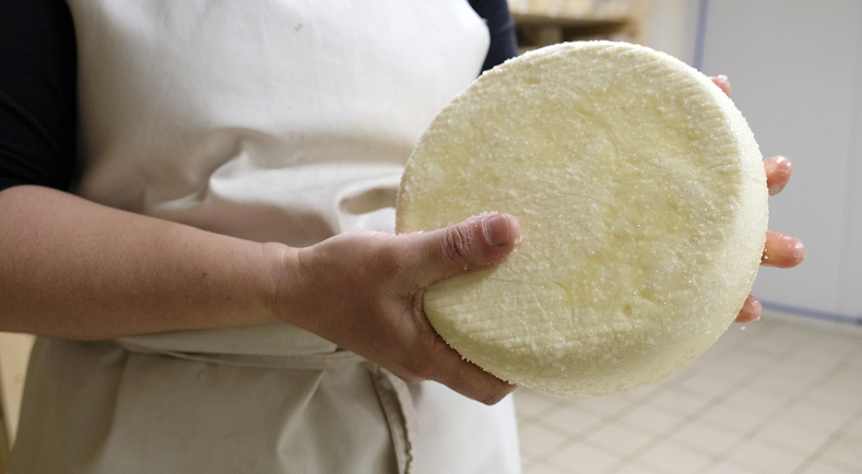 Les Différentes Familles De Fromages Ministère De Lagriculture Et De Lalimentation 