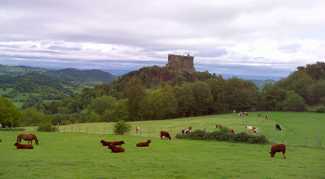 Auvergne Rhone Alpes Une Agriculture Diversifiee Et De Qualite Ministere De L Agriculture Et De L Alimentation