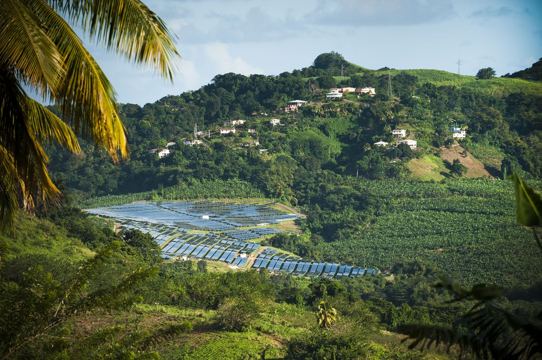 La Martinique : l'essor du commerce agricole | Ministère ...