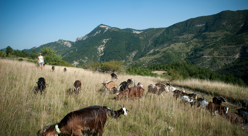 La Drome Departement Pionnier Du Bio En France Ministere De L Agriculture Et De L Alimentation