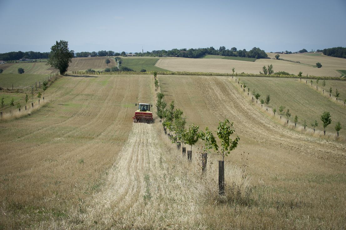 Le projet agroécologique en 12 clés  Ministère de l'Agriculture et de