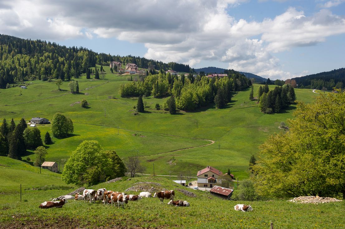 Bourgogne-Franche-Comté, une région à caractère agricole et rural |  Ministère de l&#39;Agriculture et de l&#39;Alimentation