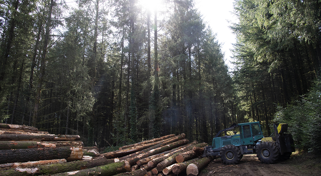 Le Plan D'investissement France 2030 Au Service De La Filière Forêt ...