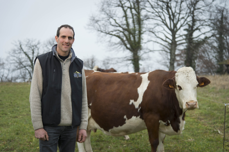 Le Bien Etre Et La Protection Des Vaches Laitieres Ministere De L Agriculture Et De L Alimentation