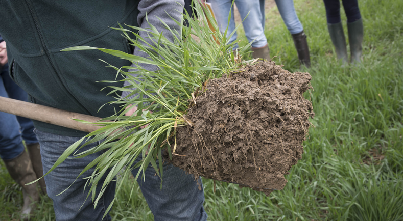 Conservation Des Sols Initier Les Futurs Agriculteurs à Lagroécologie Ministère De L 6857