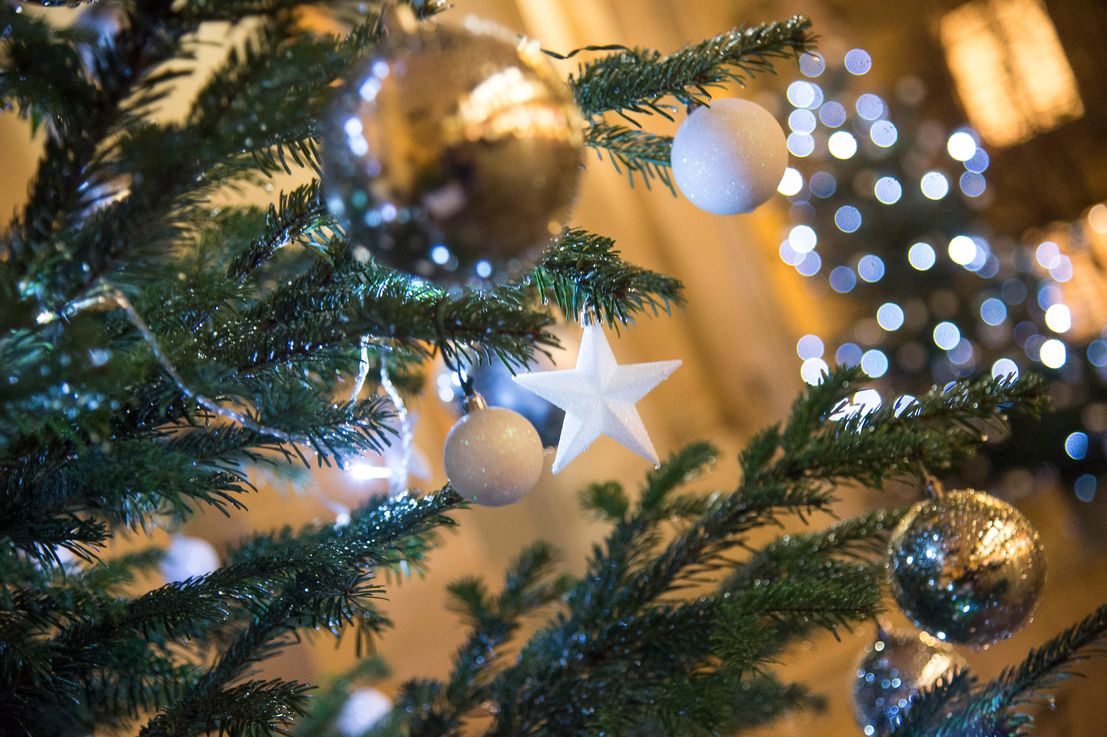 Le Sapin De Noel Toute Une Histoire Ministere De L Agriculture Et De L Alimentation Le Sapin De Noel Toute Une Histoire Ministere De L Agriculture Et De L Alimentation