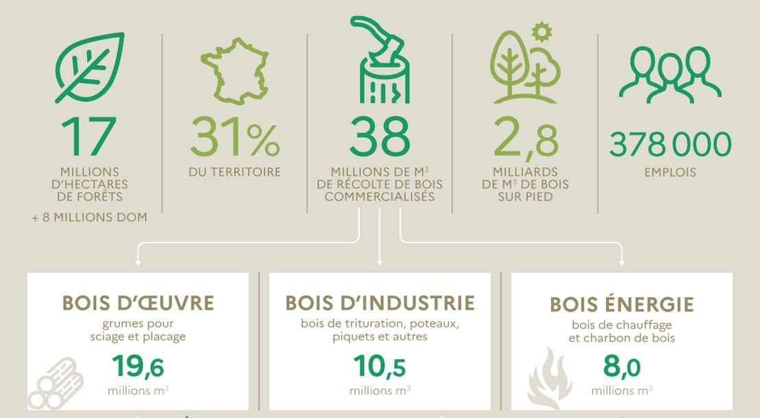 Infographie La filière forêtbois en France Ministère de l