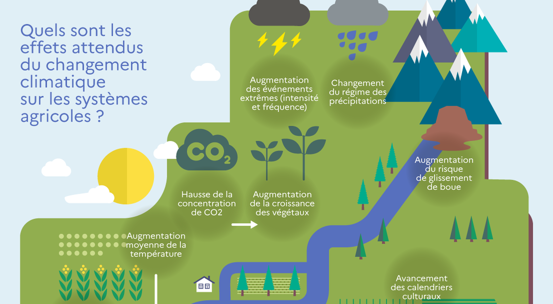 Infographie  Agriculture & climat  Ministère de l'Agriculture et de l