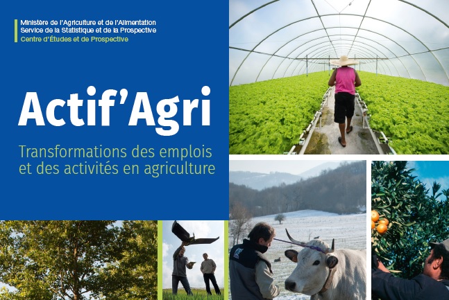 Actif Agri Transformations Des Emplois Et Des Activites En Agriculture Analyse N 145 Ministere De L Agriculture Et De L Alimentation