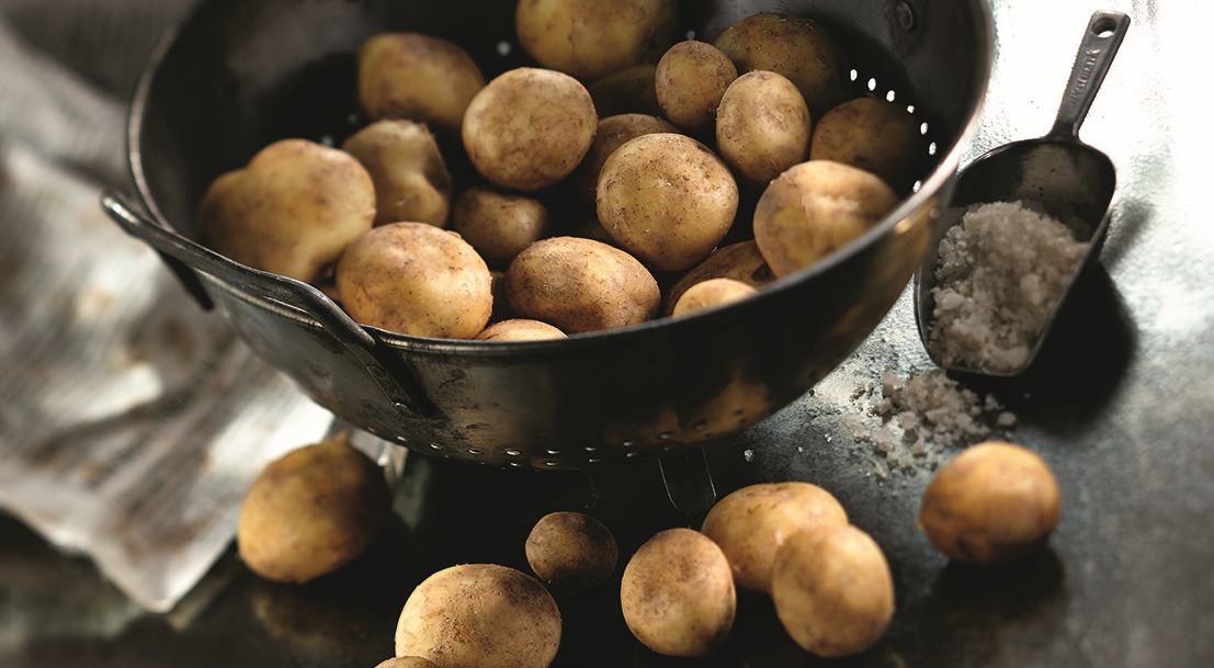 La Pomme De Terre De Noirmoutier Reconnue Indication Geographique Protegee Ministere De L Agriculture Et De L Alimentation La Pomme De Terre De Noirmoutier Reconnue Indication Geographique Protegee Ministere De L Agriculture Et De L Alimentation