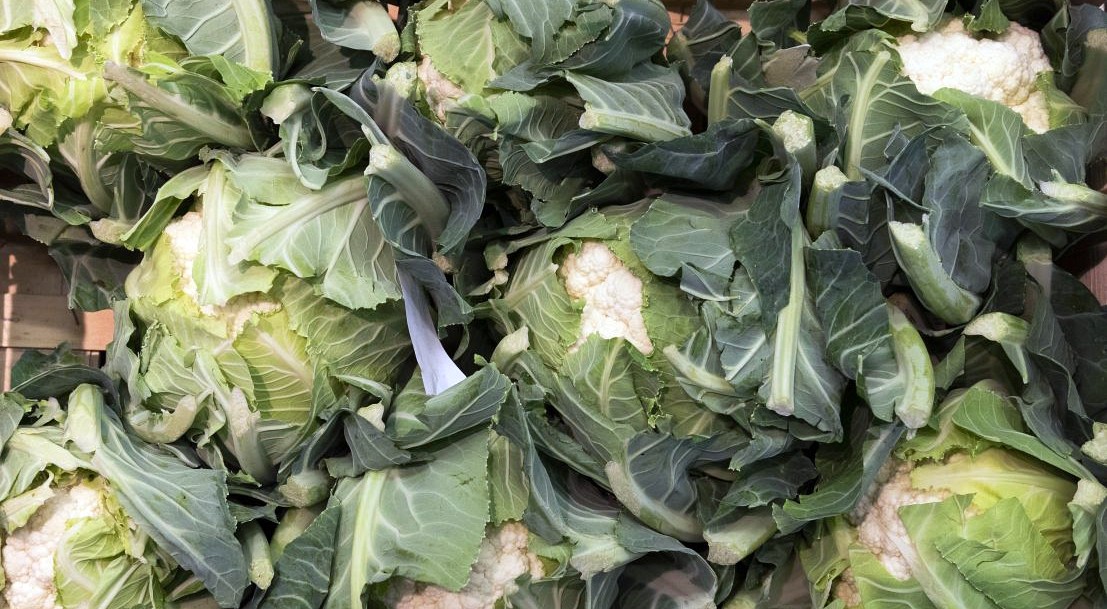 Re Decouvrir Le Chou Fleur Ministere De L Agriculture Et De L Alimentation Re Decouvrir Le Chou Fleur Ministere De L Agriculture Et De L Alimentation