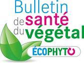 Bulletins De Sante Du Vegetal Ministere De L Agriculture Et De L