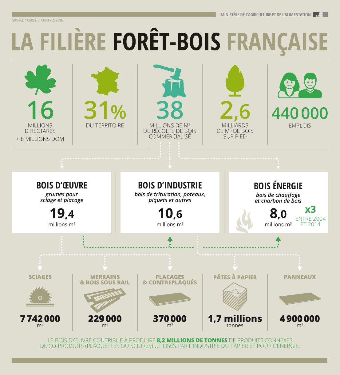 Infographie La filière forêtbois en France Ministère de l