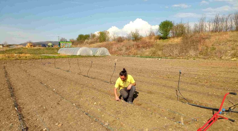 Projets alimentaires territoriaux  les initiatives se multiplient