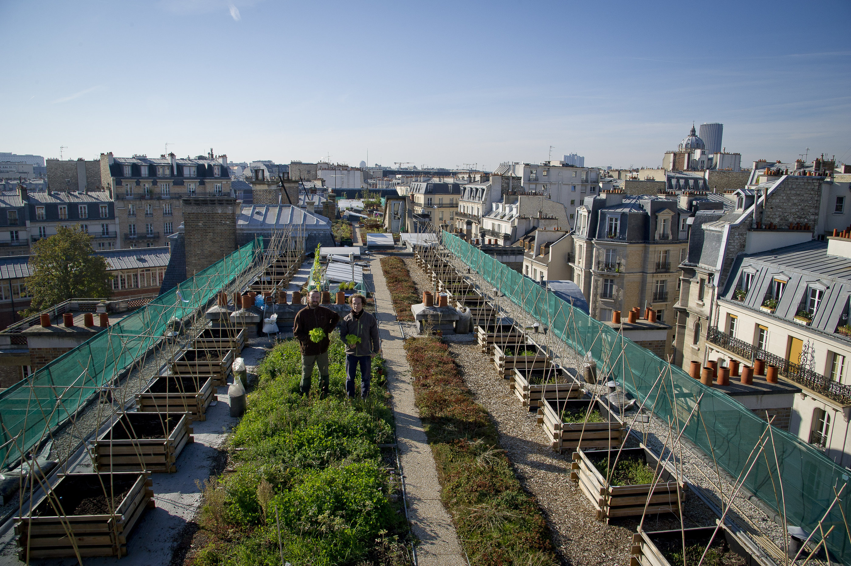 AgroParisTech : Un Potager Sur Les Toits De Paris | Ministère De L ...