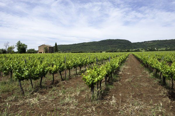 La place du numérique dans l’agriculture