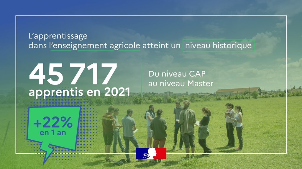 vignette présentant le nombre d'apprentis dans l'enseignement agricole en 2021