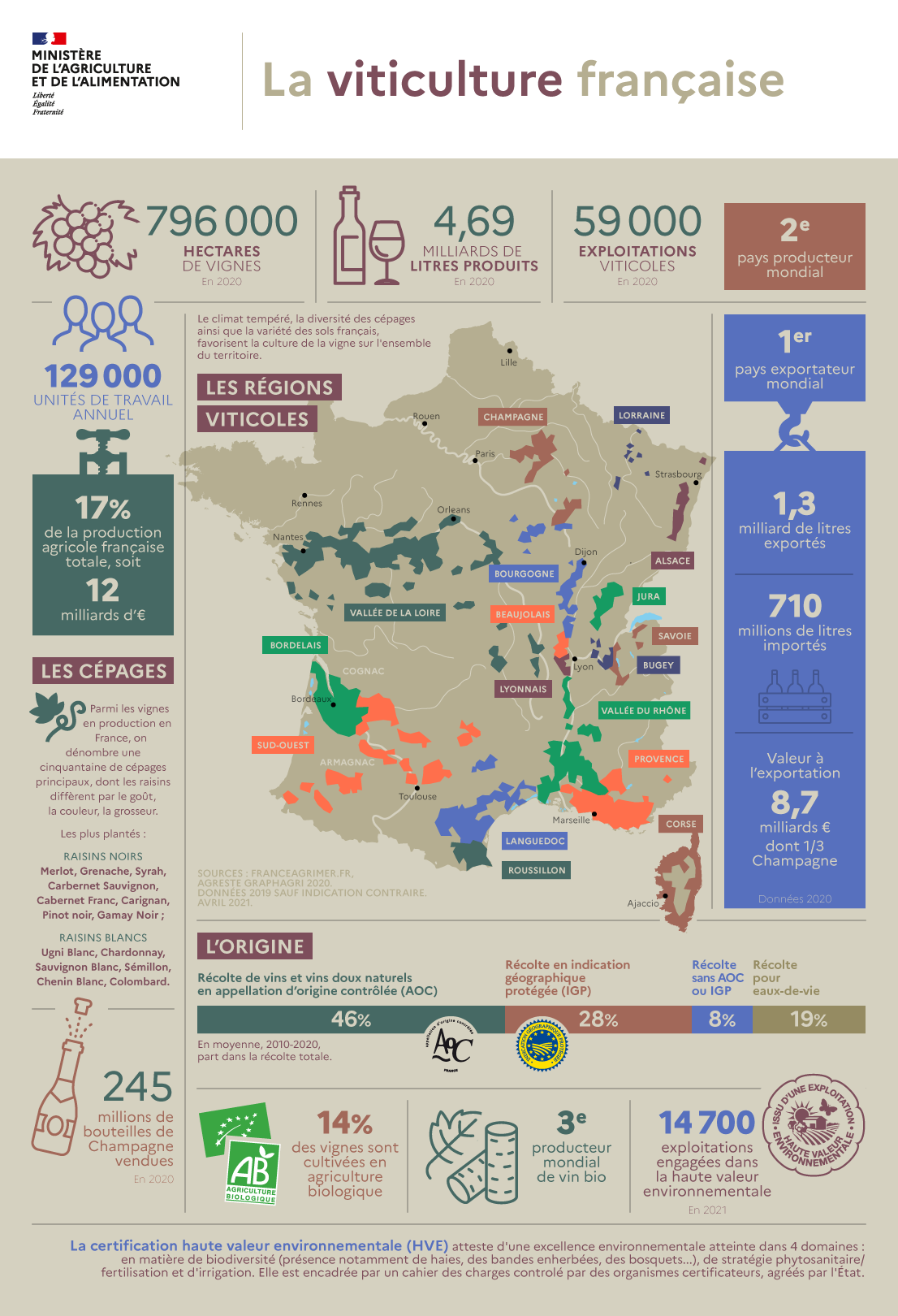 Infographie sur la viticulture française 